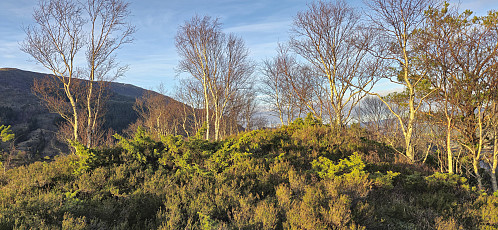 The summit of Tangelandsheiane Øst with Borga in the background left