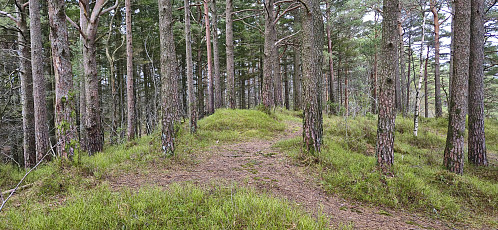 The summit of Haukeberget