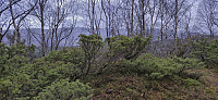 The summit of Furelegene