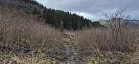 Trails to Vikaleitet/Eikåsen
