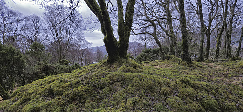 The summit of Eikåsen