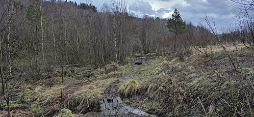 The wet start of the trail