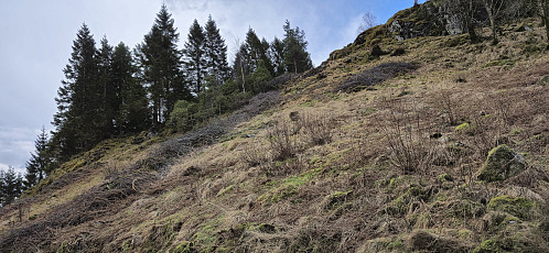 The short off-trail ascent to the summit