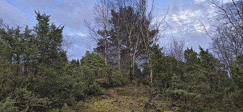 Approaching the summit