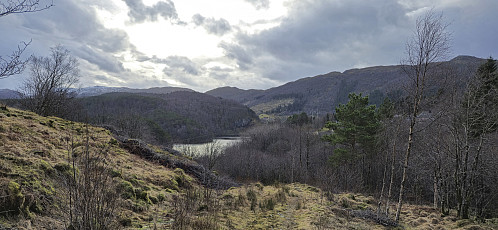 Following the tractor road back towards Kråvatnet