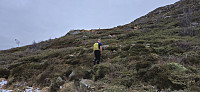 Marked trail to Storenova