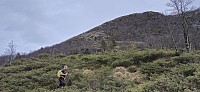 Start of the ascent to Gulbrekkefjellet