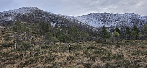 Hisbotsnuken (right) from Tverrfjellet