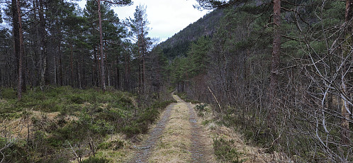 The road next to Markhusdalsvatnet