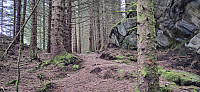 Marked trail to Barkehelleren