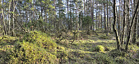 Summit area at Styrshaugen