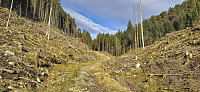 The valley between the two peaks