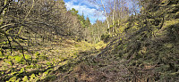 The valley east of Hattråsen