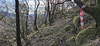 Marked trail east of Hattråsen