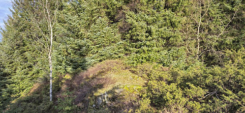 The summit of Hattråsen