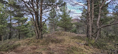 The summit of Smørkisfjellet