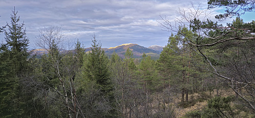 Livarden from near the summit of Smørkisfjellet