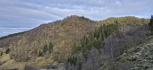 Looking back at Hattråsen from above Almeland
