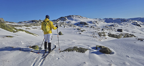 Approaching the summit