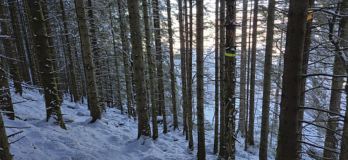 One of three trail markers spotted on way to Vardahaugane