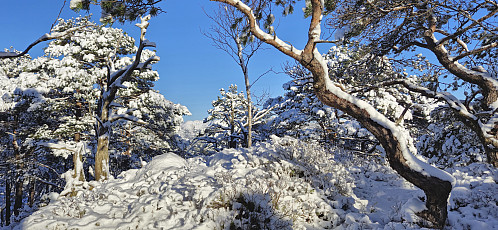 The highest point at Vardahaugane