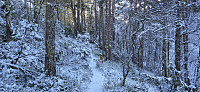 Trail south from Kråvatnet