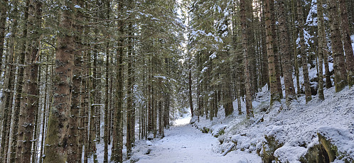 Tractor road from Kalsåsvatnet