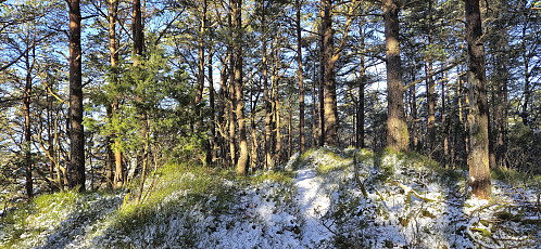 The summit of Hålihovden