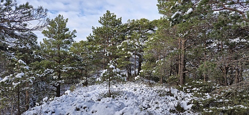 The summit of Hovdane