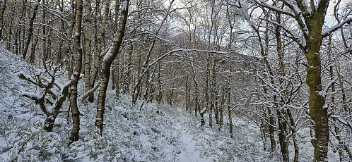 Off-trail shortcut from Hovdane to the gravel road