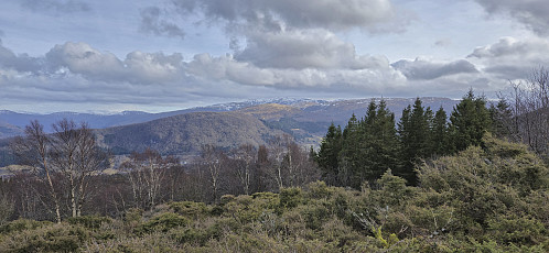 Towards Gullfjellet from Sauhaugen