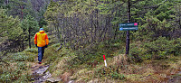 Crossroads Austefjellet/Heinakken