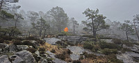 Entering into the fog