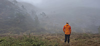 The fog turns even thicker
