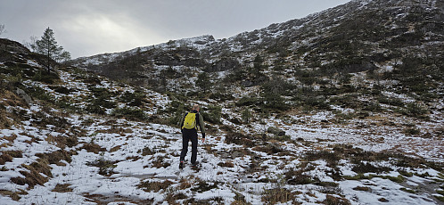 Off-trail towards Grønefjellet