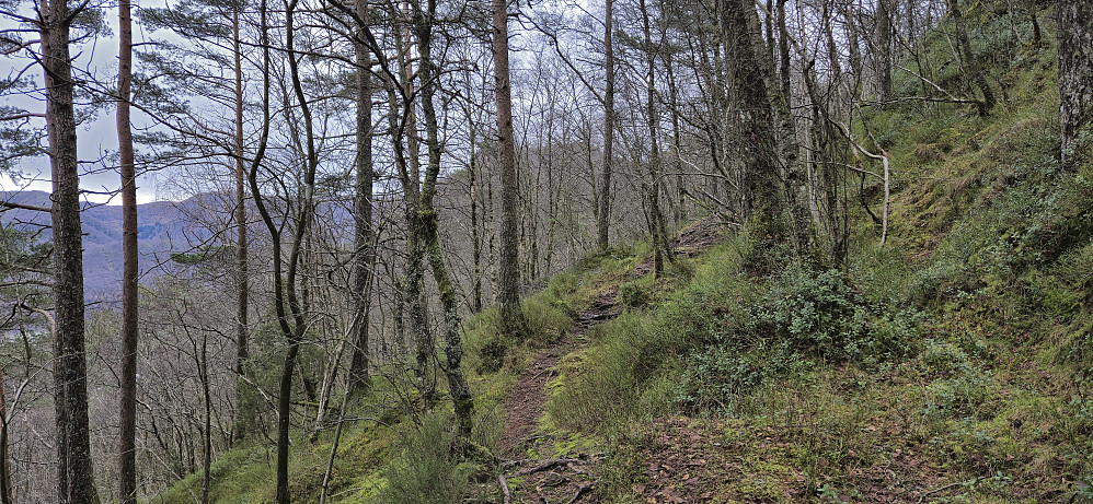 The trail on northern side of Ørneberget with Orretua partly hidden in the background