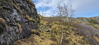 Ascending to Steinfjellet