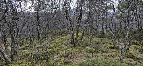 The highest point at Ramfjellet