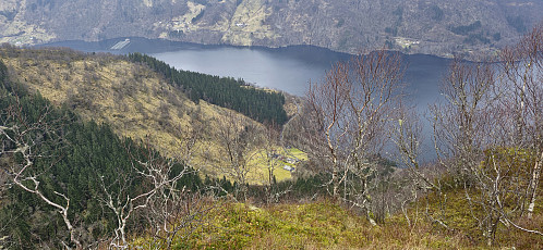 View from north of the summit at Ramfjellet