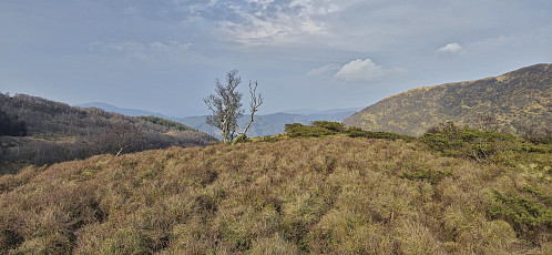 The summit of Onuken