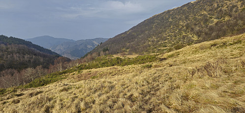 The wet "trail" in Songstaddalen