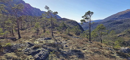 Trollhaugen in the distance from southwest of Brekkestøl