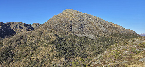 The ascent to Sydpolen from Trollhaugen