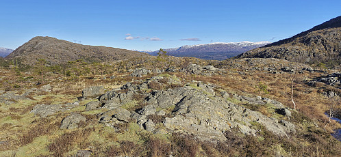 The highest point at Trollhaugen with Sauafjellet in the background to the left