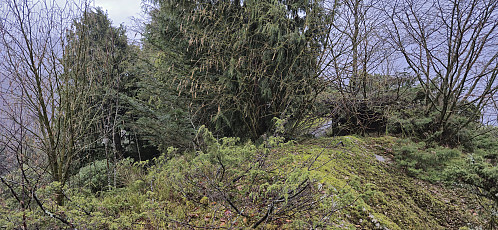 The highest point at Jomfruhaugen