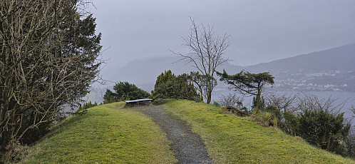 Jomfruhaugen