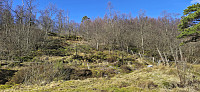 Ascending Meåsen