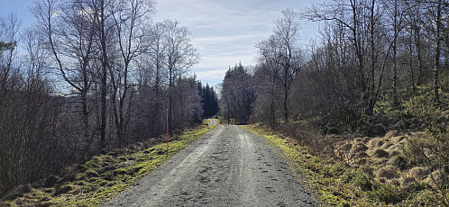 Gravel road towards Riple