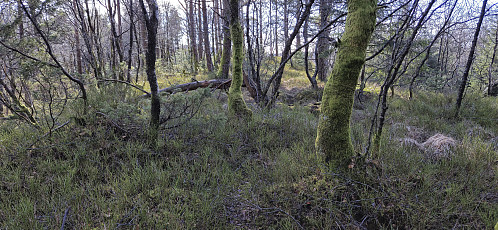 The summit of Midtfjellet (southwest of Ytstafjellet)