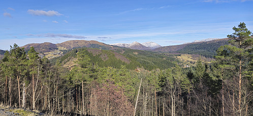 Livarden, Hausdalshorga and Gullfjellet from north of Orrtua